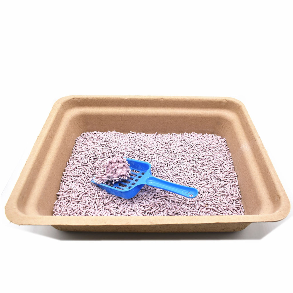everyday Disposable Cat Litter Boxes (20-Pack)