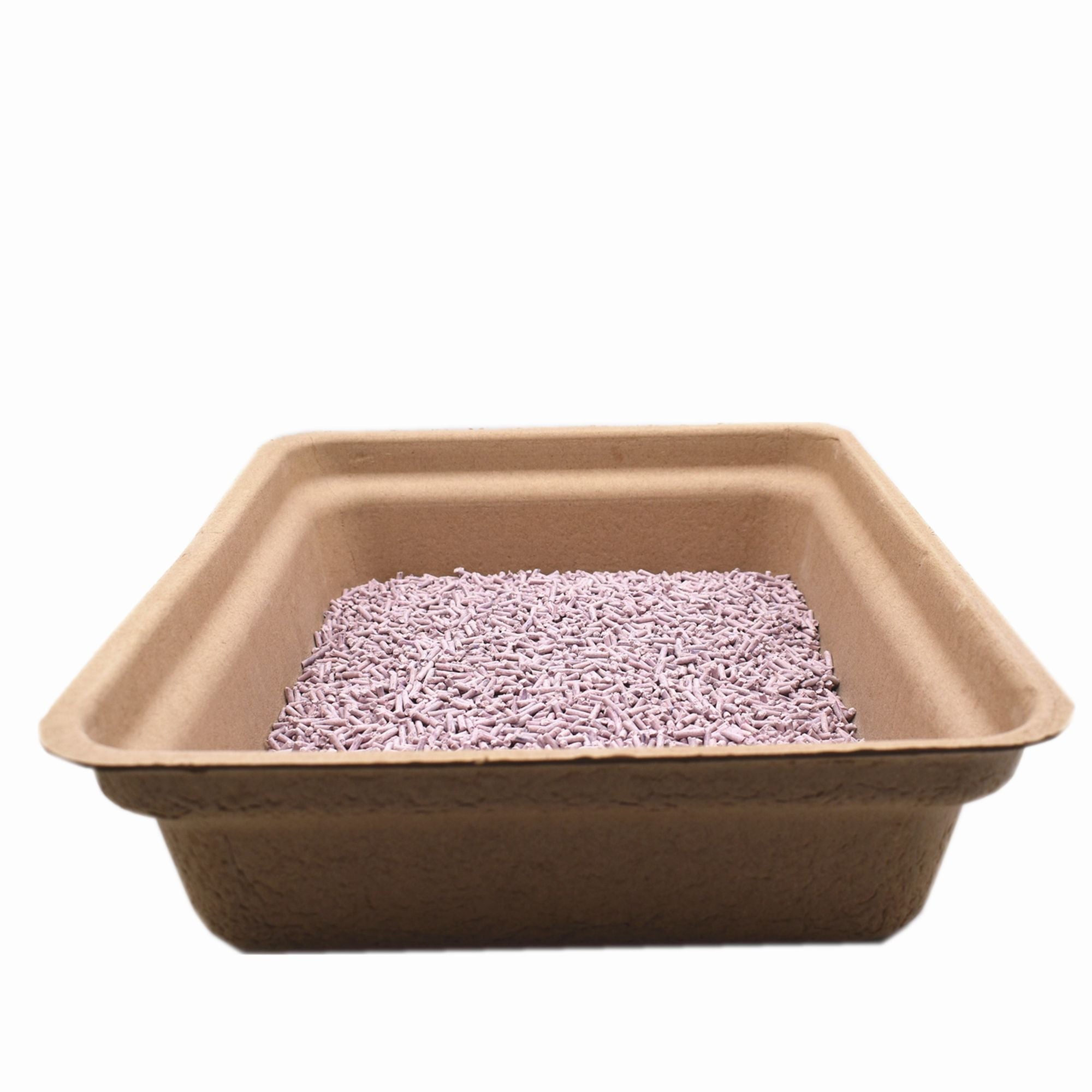 everyday Disposable Cat Litter Boxes (20-Pack)