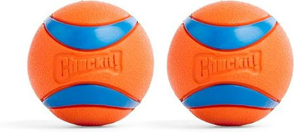 Bouncy Fetch Balls for Dogs – Medium 2.5-Inch, Pack of 2