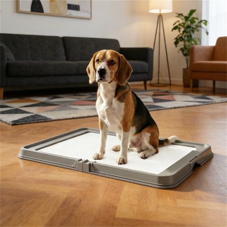 Extra-Large Gray Urine Pad Holder with Foldable Design for Dogs