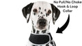 USB Rechargeable GPS Mini Pet Tracker Waterproof Realtime Surveillance Size:XL