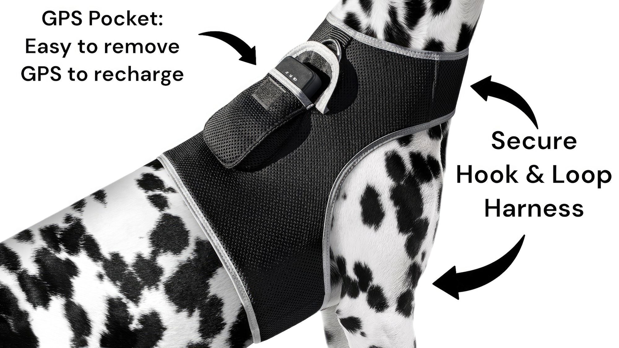 Track Your Pet Anywhere with the GPScards Pet Tracker Harness – Peace of Mind on Every Adventure