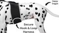 USB Rechargeable Pet Tracking Collar Waterproof Pocket Location Finder Size:XL