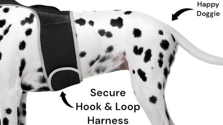 USB Rechargeable Pet Tracking Collar Waterproof Pocket Location Finder Size:XL