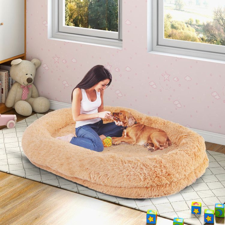 Human-Sized Dog Bed with Orthopedic Foam, Blanket & Pillow
