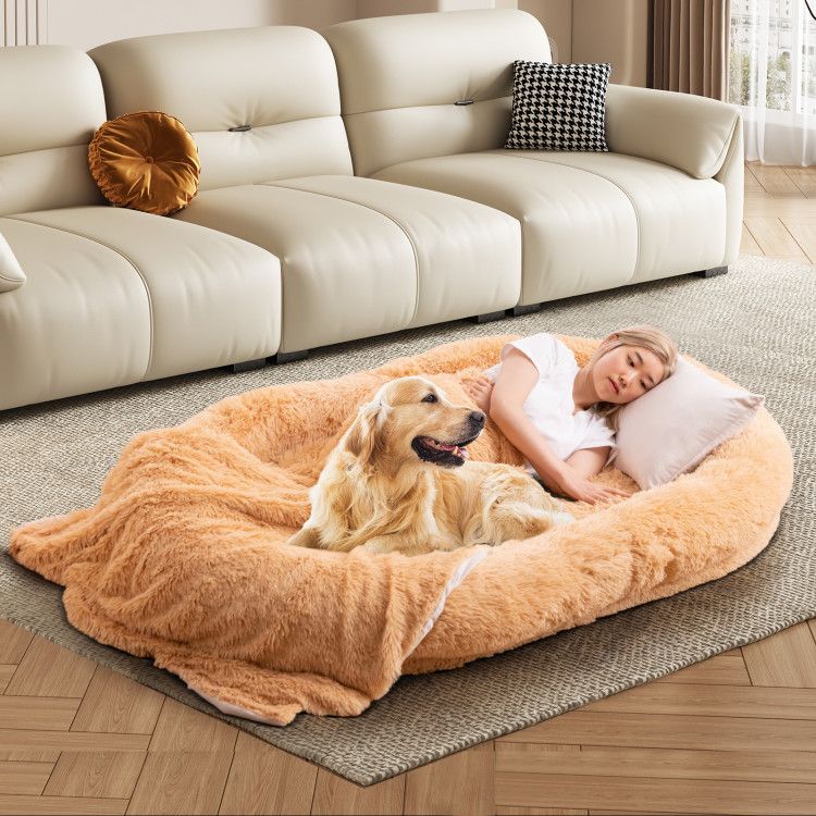 Human-Sized Dog Bed with Orthopedic Foam, Blanket & Pillow