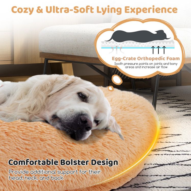 Human-Sized Dog Bed with Orthopedic Foam, Blanket & Pillow