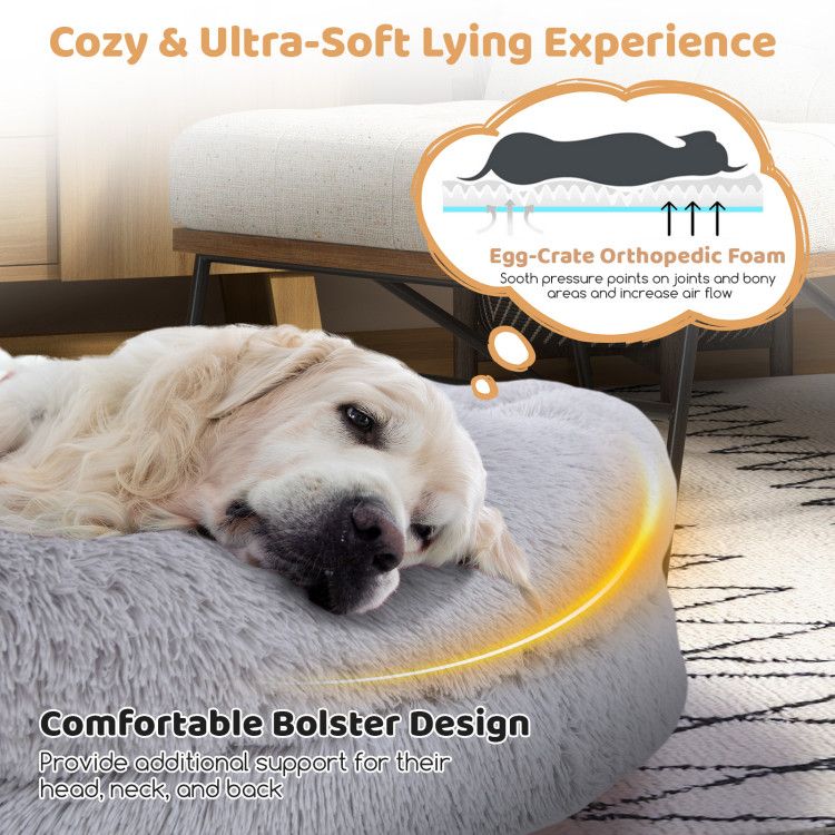 Human-Sized Dog Bed with Orthopedic Foam, Blanket & Pillow