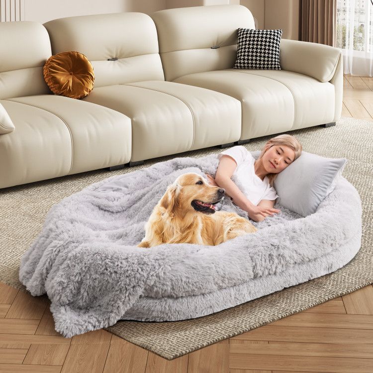 Human-Sized Dog Bed with Orthopedic Foam, Blanket & Pillow