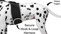Track Your Pet Anywhere with GPS – Peace of Mind on Every Adventure!