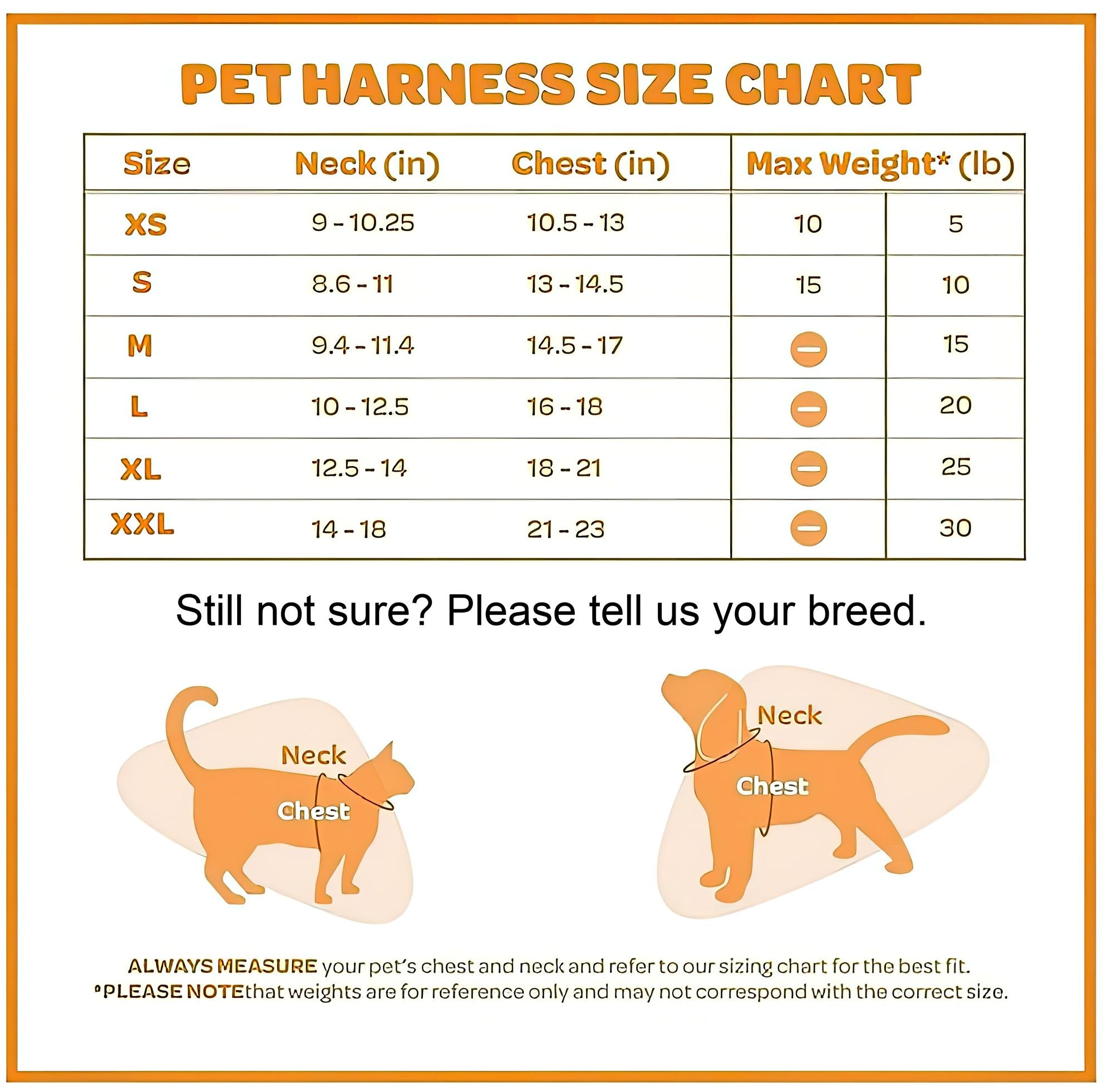 Keep Tabs on Your Furry Explorer with Our GPS Tracker