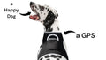 Track Your Pet Anywhere in the World with the Pet Tracker S GPS Harness