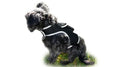 Waterproof GPS Pocket Dog Locator Device Realtime w/ Tracking History Size:XL
