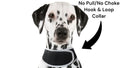 Waterproof GSM GPS Tracking Dog Collar Device w/ Rechargeable Battery Size:S
