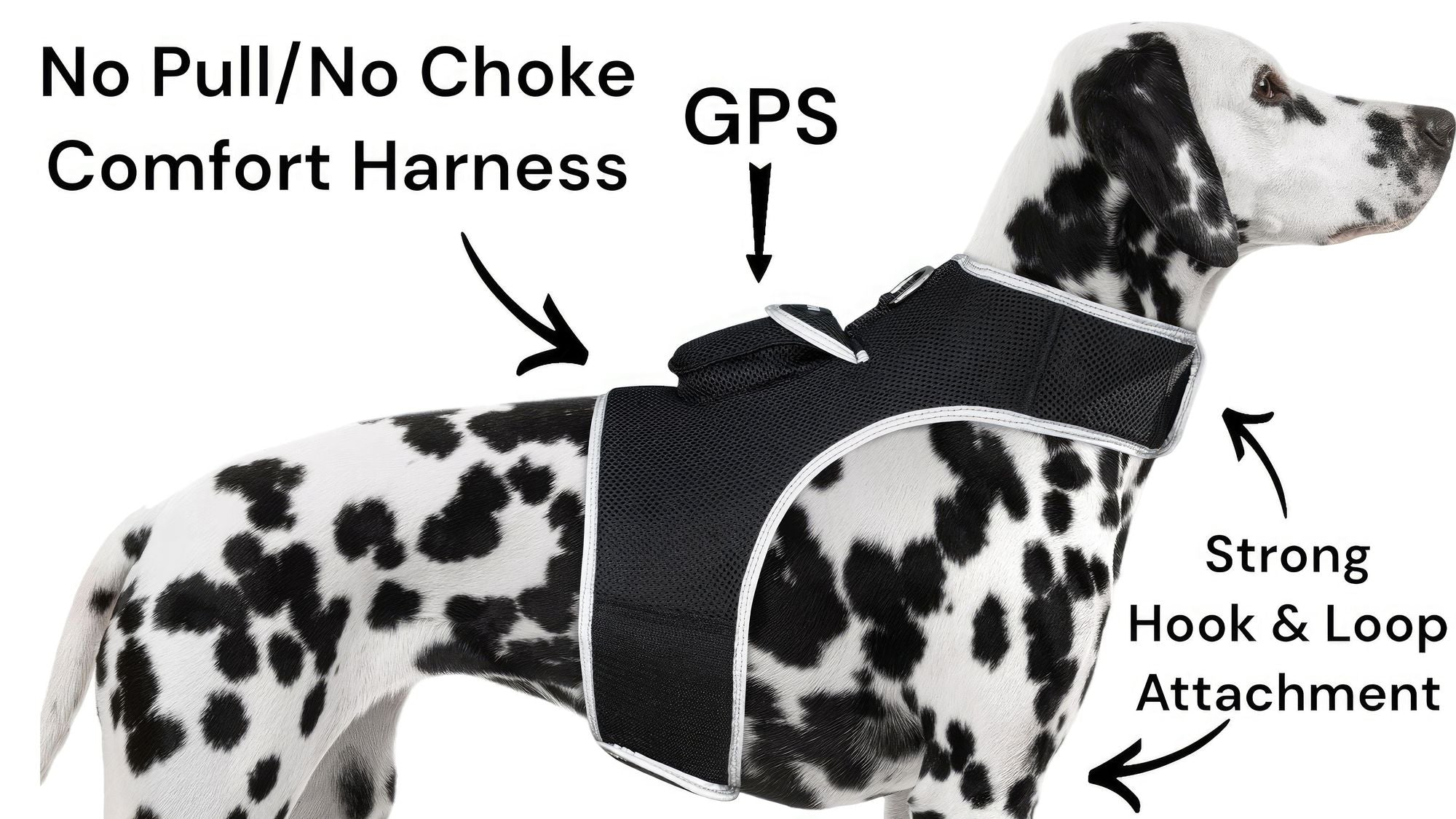 Real-Time GPS Pet Tracking That Fits Your Pet’s Comfort and Your Peace of Mind