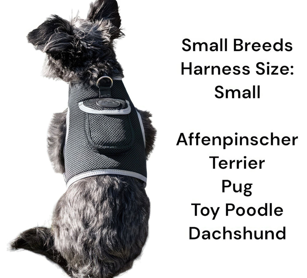 Keep Tabs on Your Explorer: Real-Time GPS Tracking Harness
