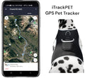 Real-Time GPS Pet Tracker Harness – Low Monthly Fee, Peace of Mind