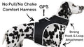 Waterproof Real-time Collar Mount Mini GPS GSM GPRS Tracker for Pets Size:XL