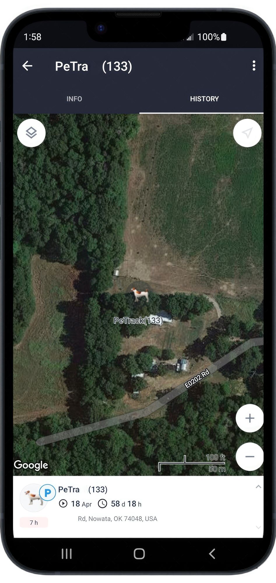 Keep Your Pet Safe with Real-Time GPS Tracking – Affordable & Comfortable