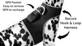 Track Your Pet in Real Time with Ultimate Comfort and Affordability