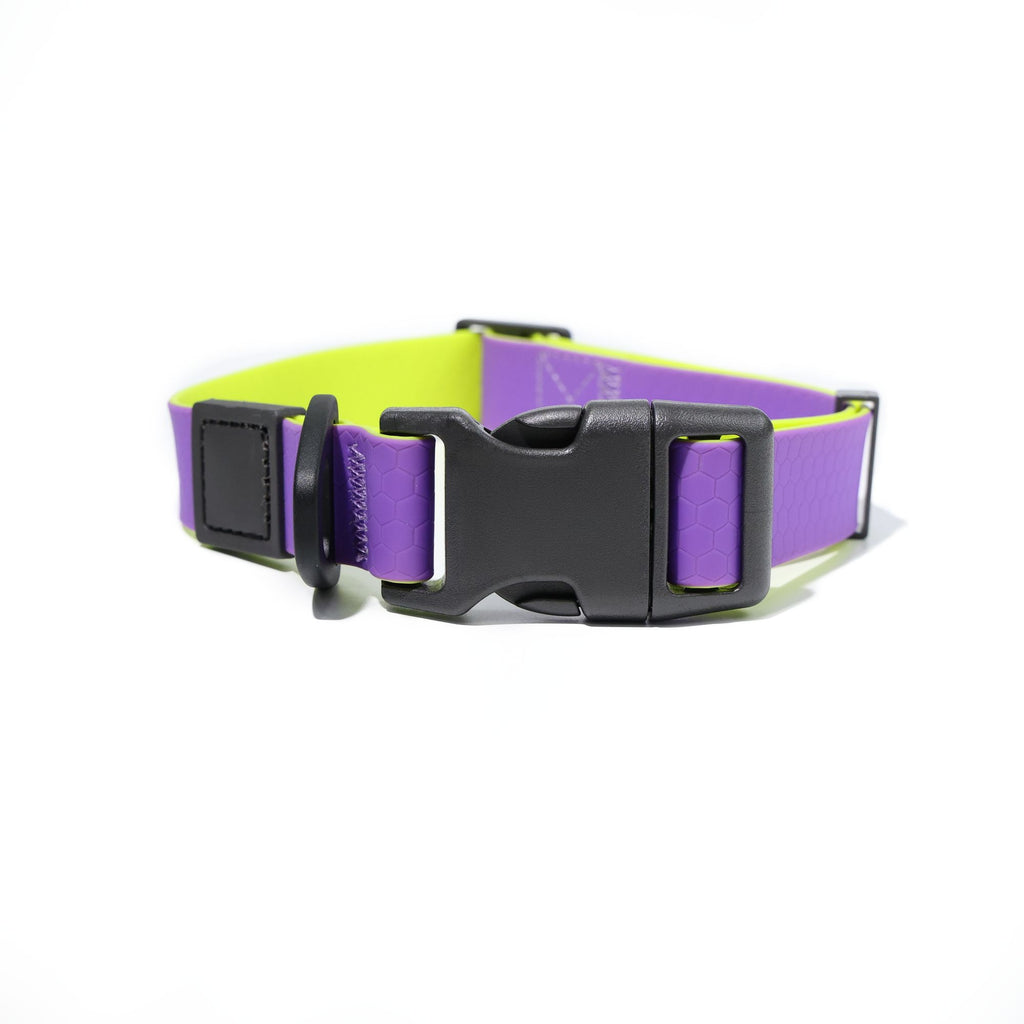 water-ready TPU Dog Leash & Collar Set | practical Honeycomb Texture Training Lead