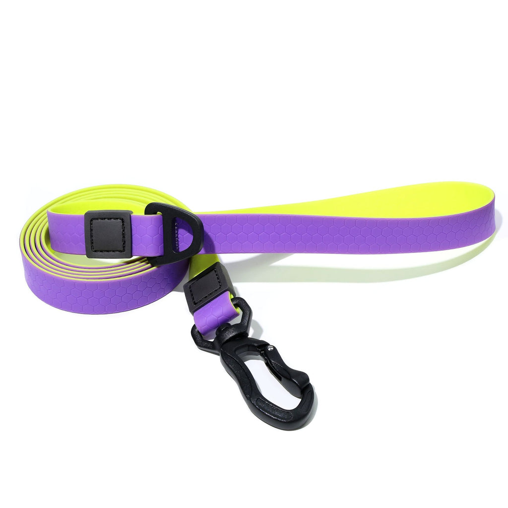 water-ready TPU Dog Leash & Collar Set | practical Honeycomb Texture Training Lead