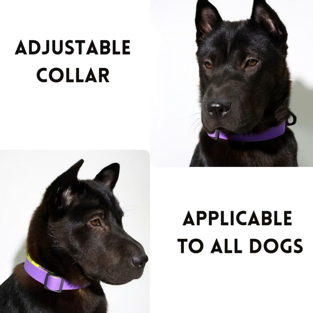 water-ready TPU Dog Leash & Collar Set | practical Honeycomb Texture Training Lead