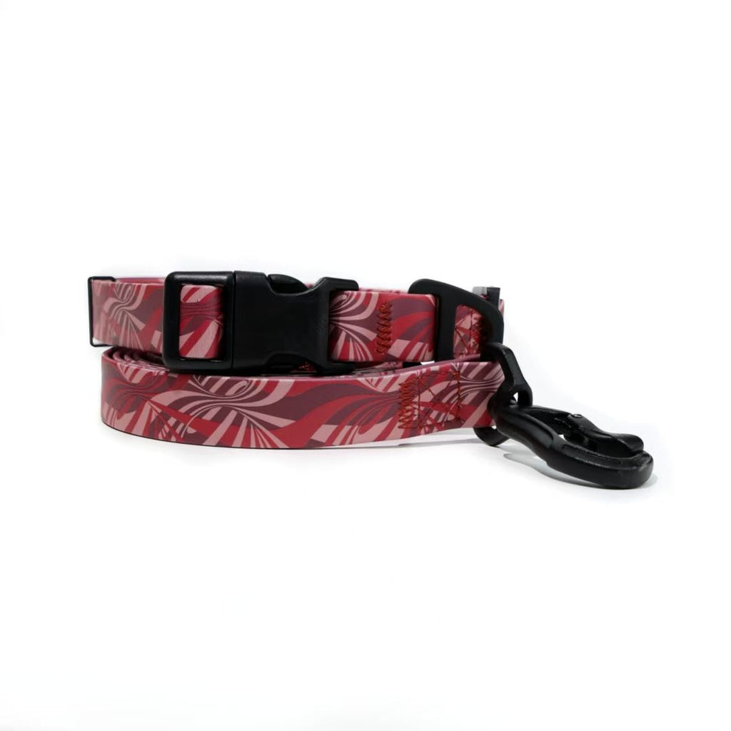 water-ready UV Embossed Pet Leash Set for Rainy Walks