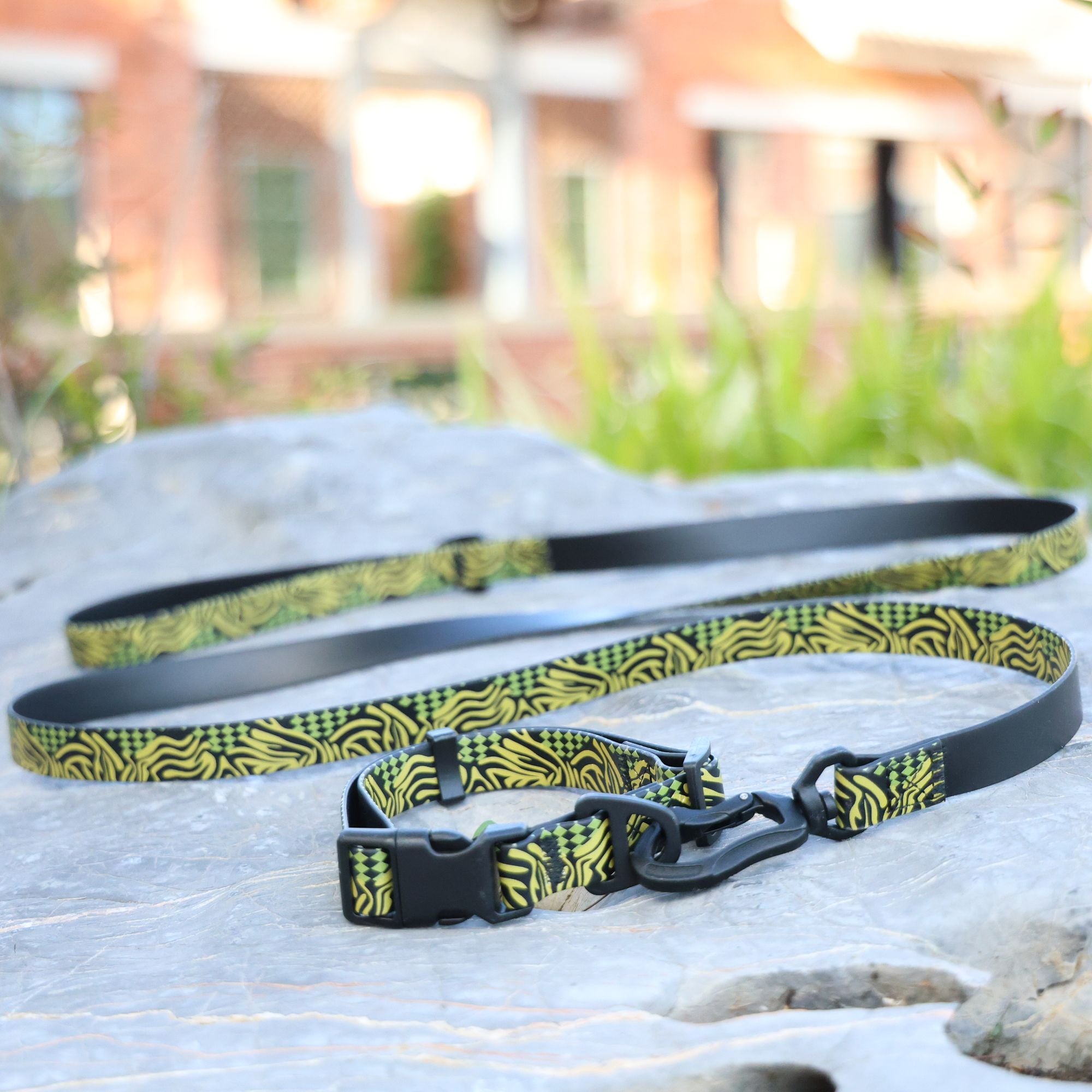 water-ready UV Embossed Pet Leash Set for Rainy Walks