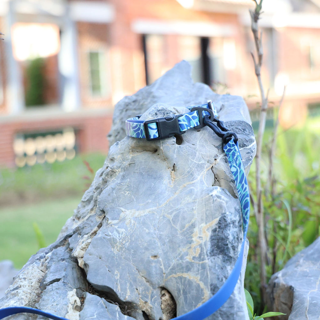 water-ready UV Embossed Pet Leash Set for Rainy Walks