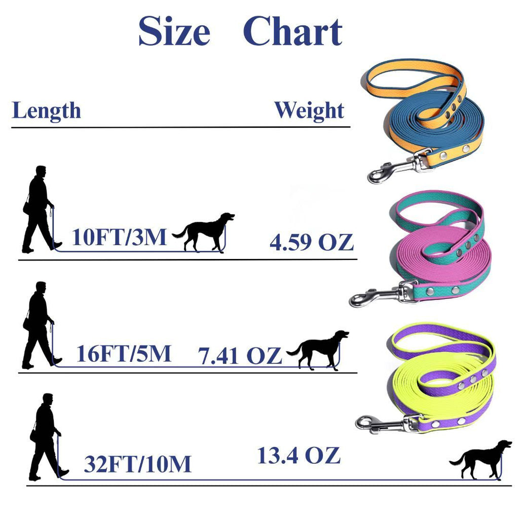 Two-Tone Water-ready Dog Leash with Wavy Non-Slip Grip