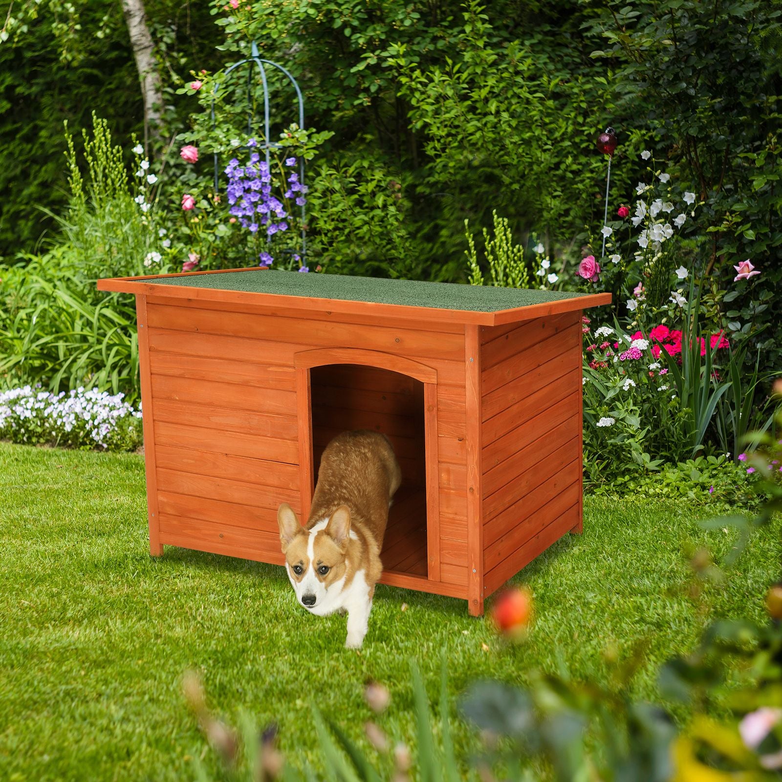 Give Your Pup a Cozy Retreat with This Waterproof Wood Dog House