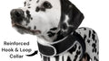 Track Your Pet Anywhere with the Pet Tracker XL – Real-Time GPS Comfort Harness