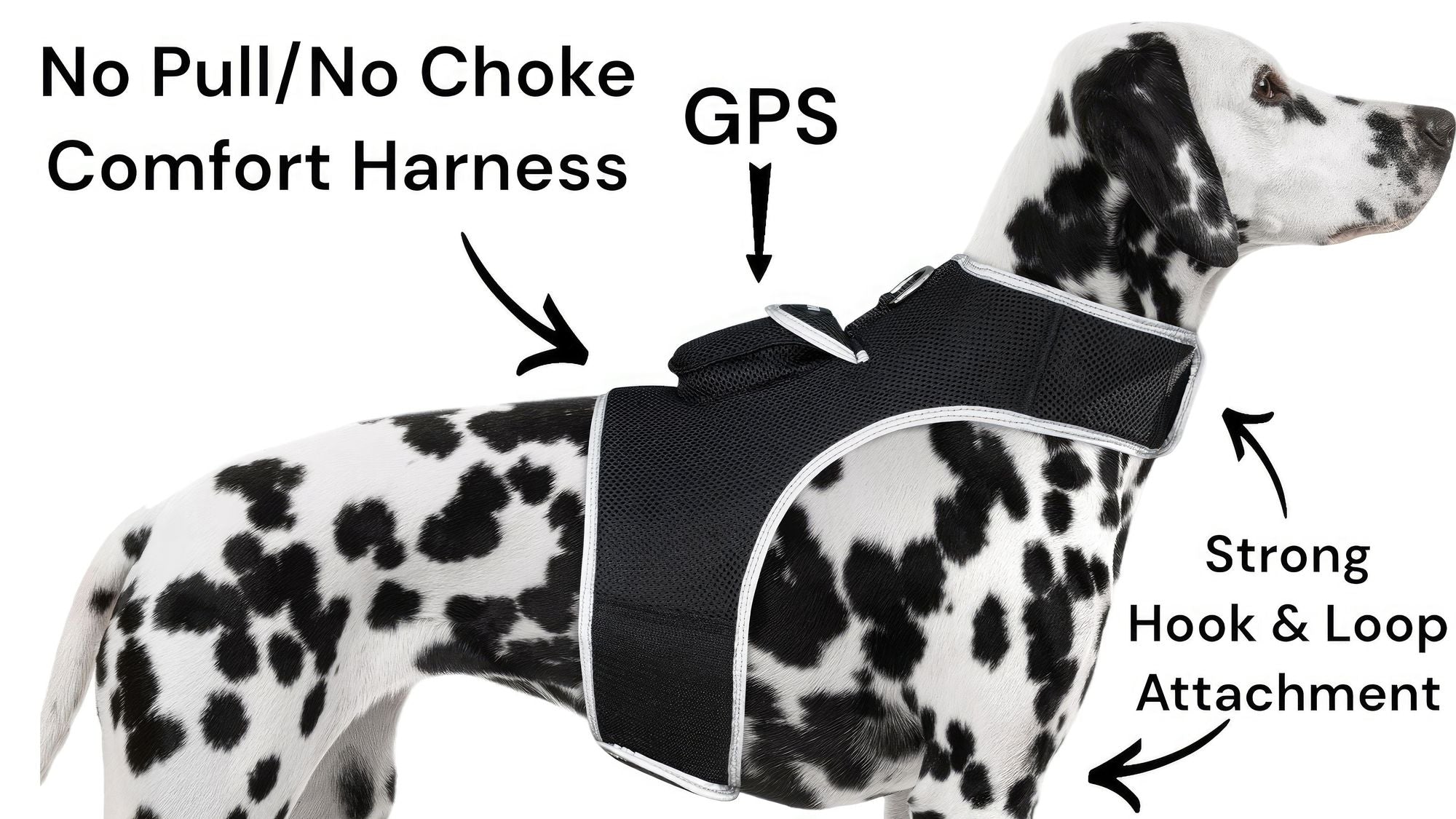 Real-Time GPS Tracking for Your Pet – Peace of Mind on the Go
