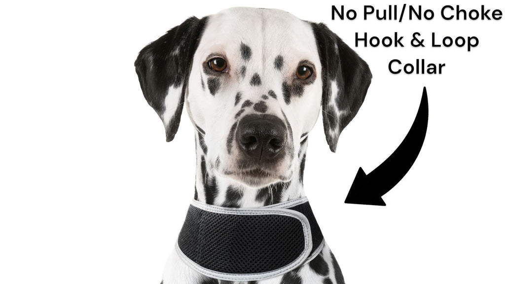 Track Your Pet Anywhere with the Affordable GPS Harness