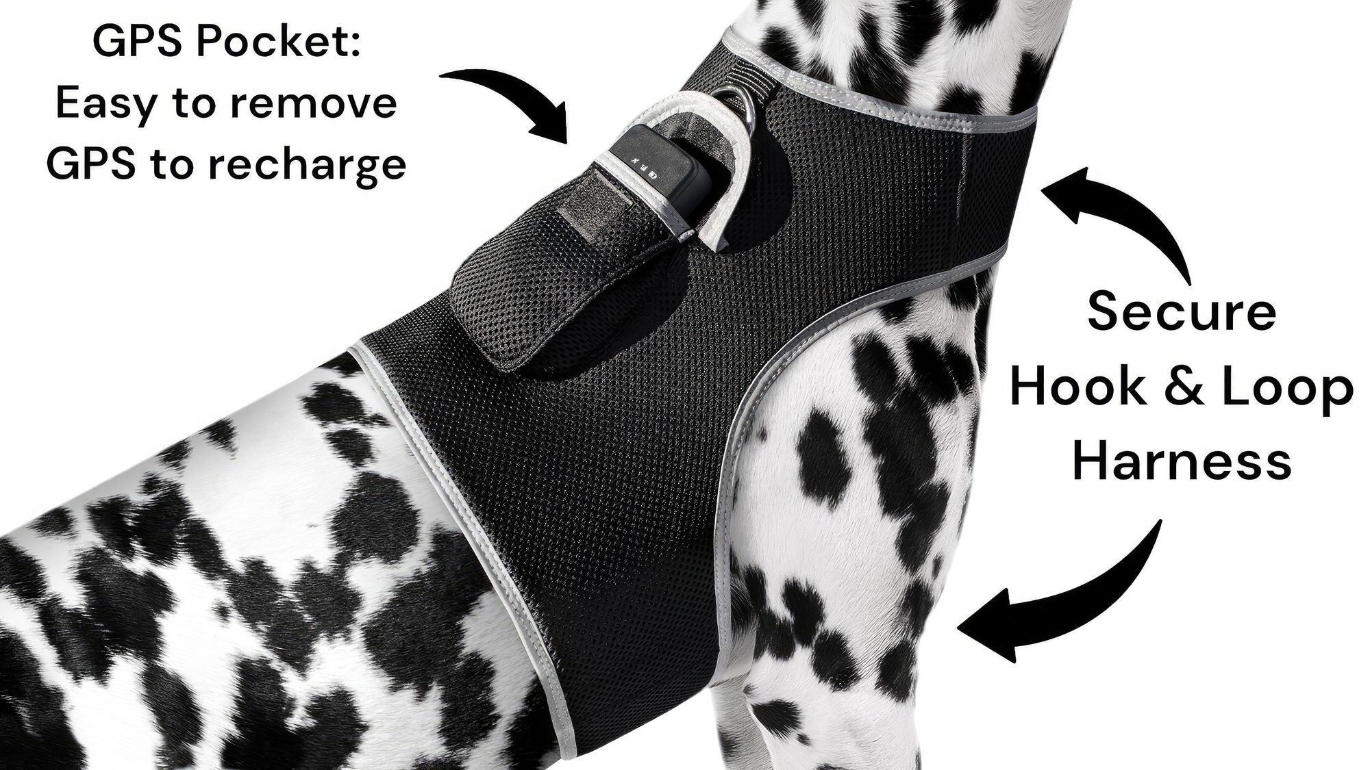 Never Lose Sight of Your Best Friend: GPS Pet Tracker Harness