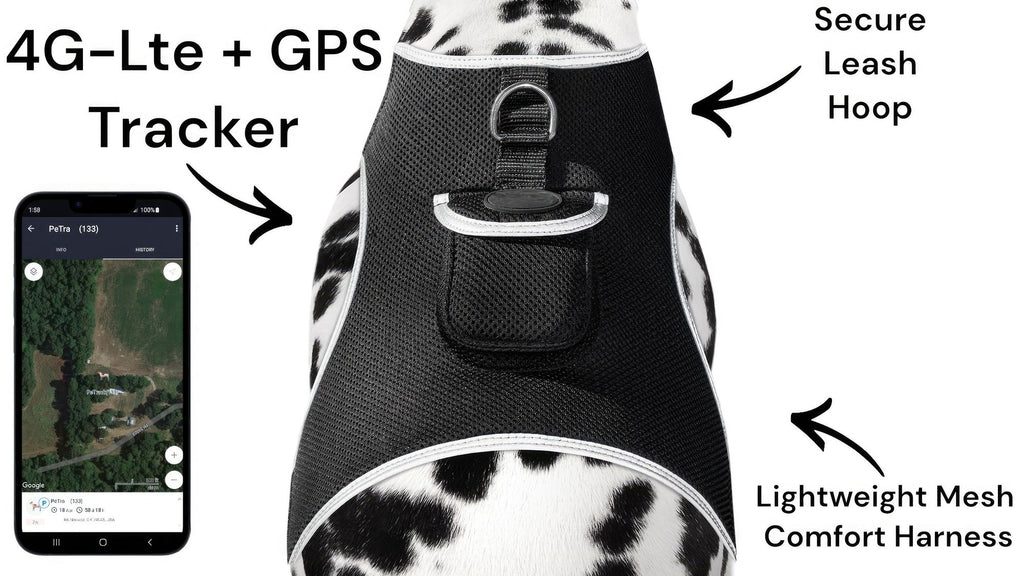 Track Your Pet's Adventures with the Wireless GSM GPS Tracker Harness