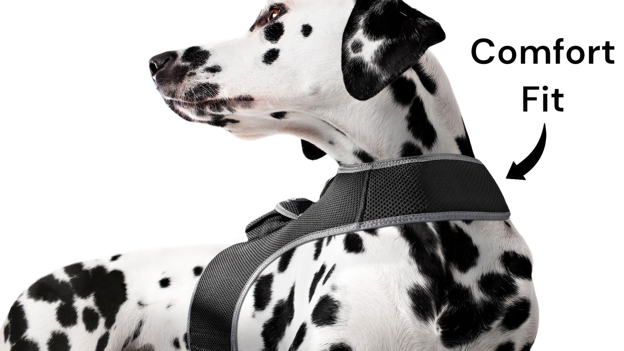 Track Your Pet Anywhere with the Ultra-Light GPS Harness – No Contracts, Just $8/Month