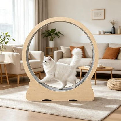 furniture-style Cat Exercise Wheel – Spacious, Quiet & Safe for Large Cats