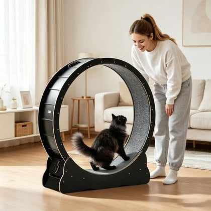 Spacious Cat Exercise Wheel for Medium to Large Cats – Quiet & Safe