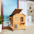 furniture-style Cat House with Multiple Playful Entrances and everyday water-ready Design