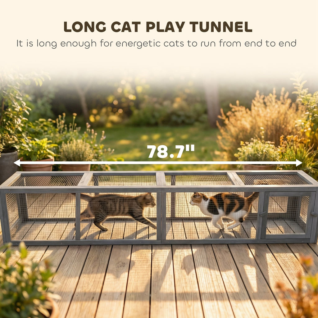 furniture-style Cat Run with Weather Protection for Indoor-Outdoor Connection