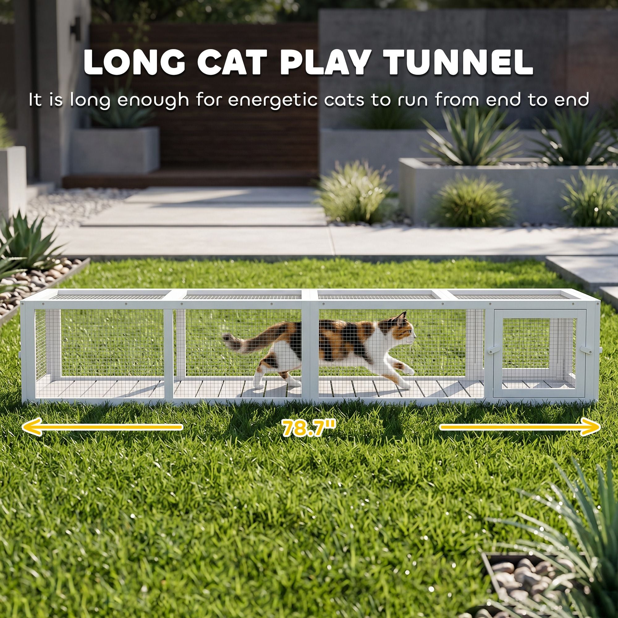 Wooden Catio with Four Doors for Window and House