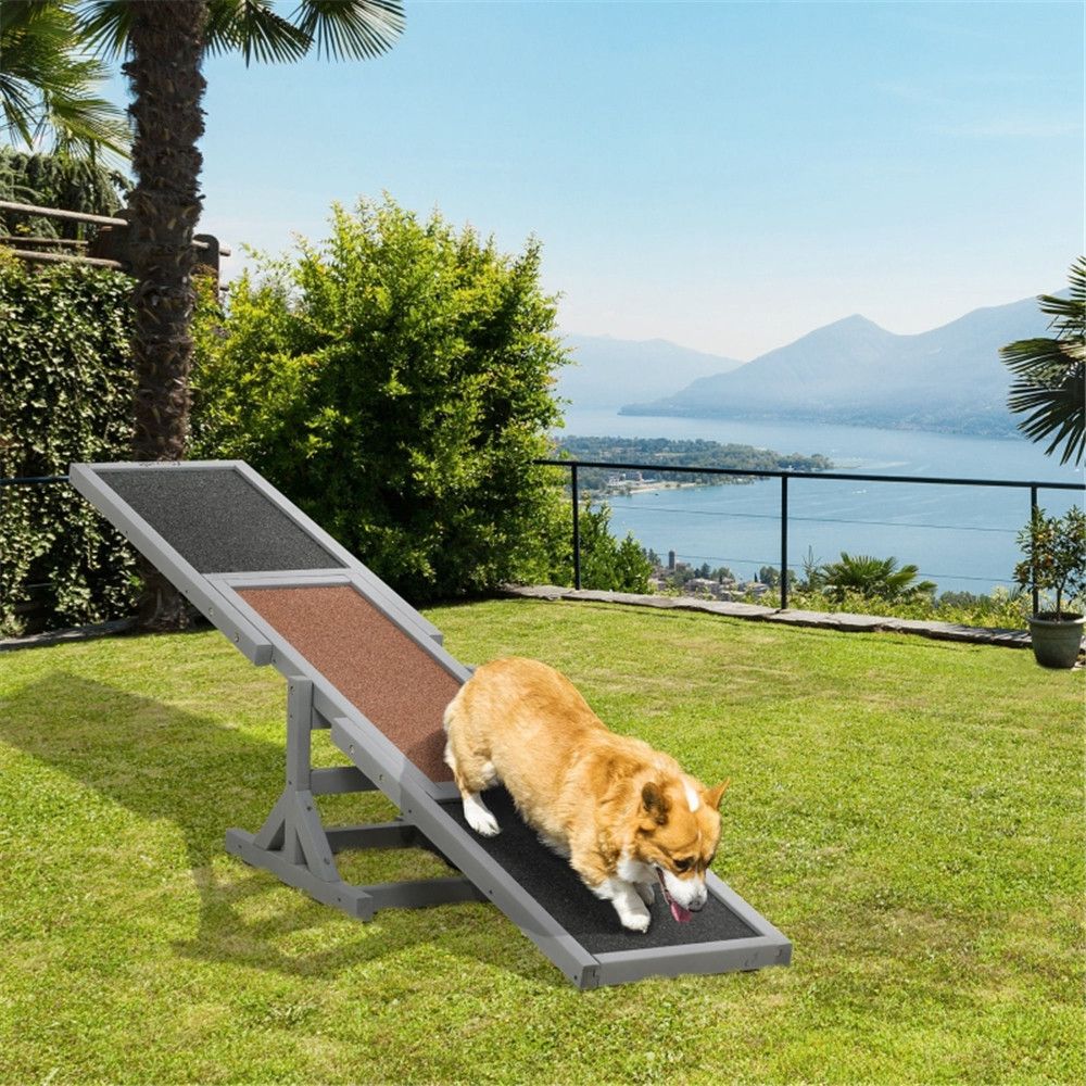 Boost Your Dog's Agility with This Fun Wooden Seesaw