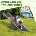 Boost Your Dog's Agility with This Fun Wooden Seesaw