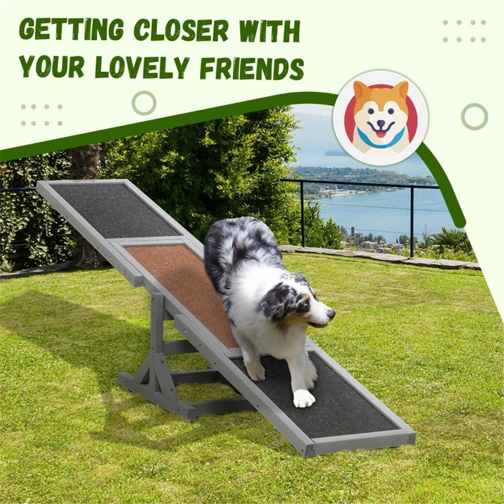 Boost Your Dog's Agility with This Fun Wooden Seesaw