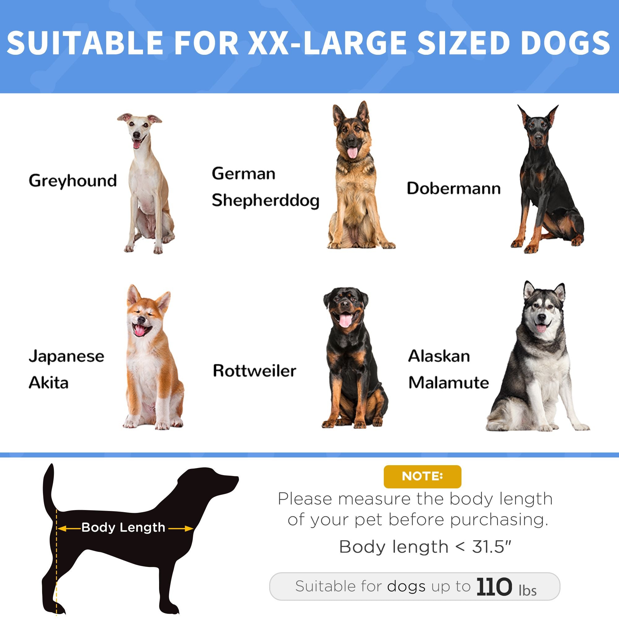 XL Elevated Dog Bed – Breathable Mesh, Portable, for Indoor & Outdoor