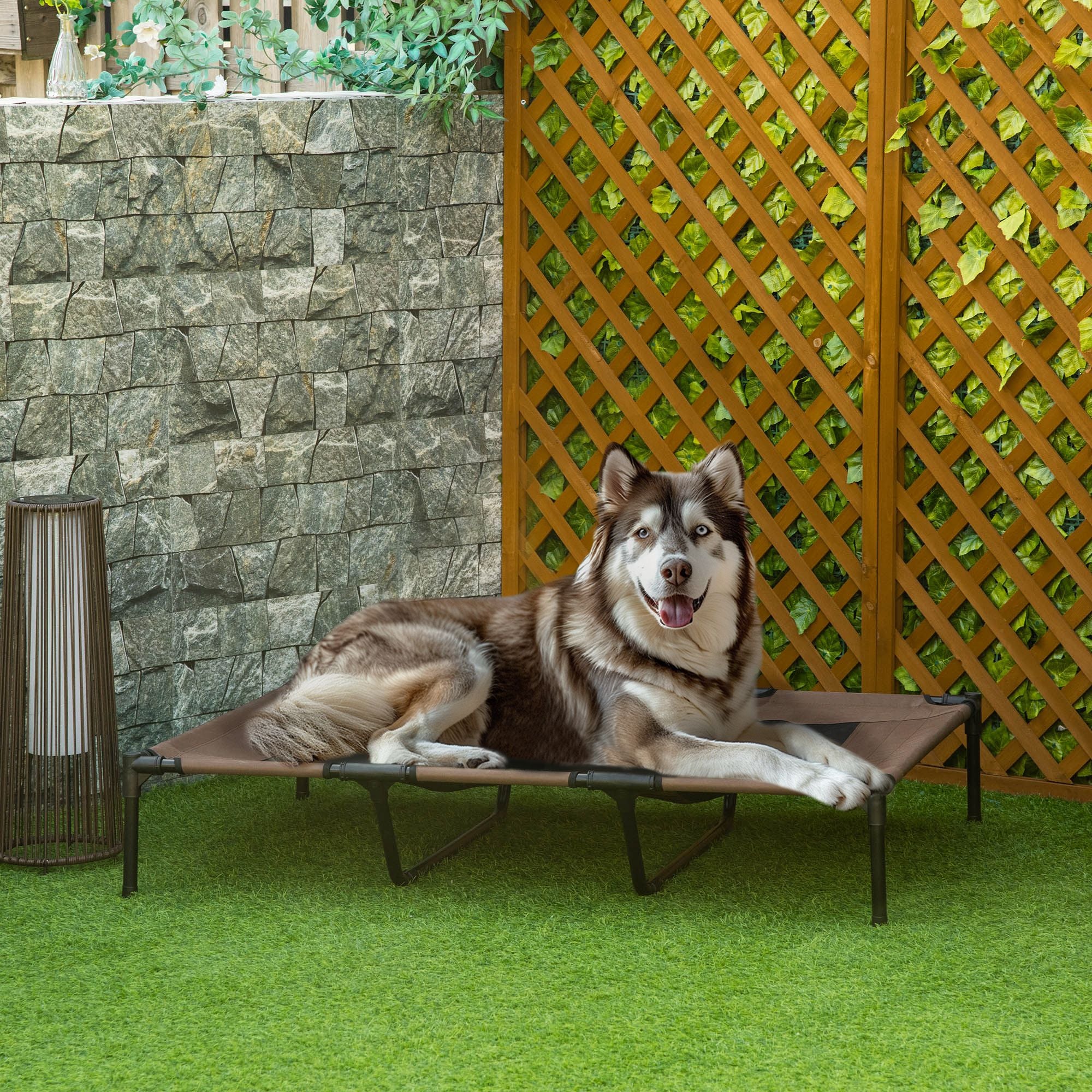 XL Elevated Dog Bed – Breathable Mesh, Portable, for Indoor & Outdoor