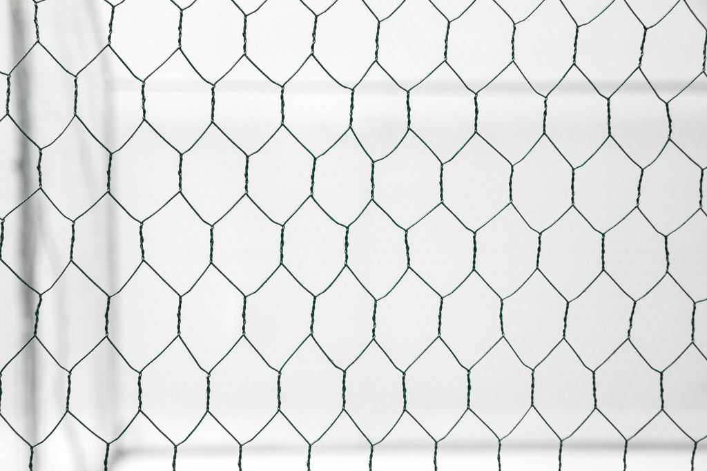 XPT035 Outdoor chicken coop metal big space 20*10*6FT 3 Unit for Outdoor Farm Use