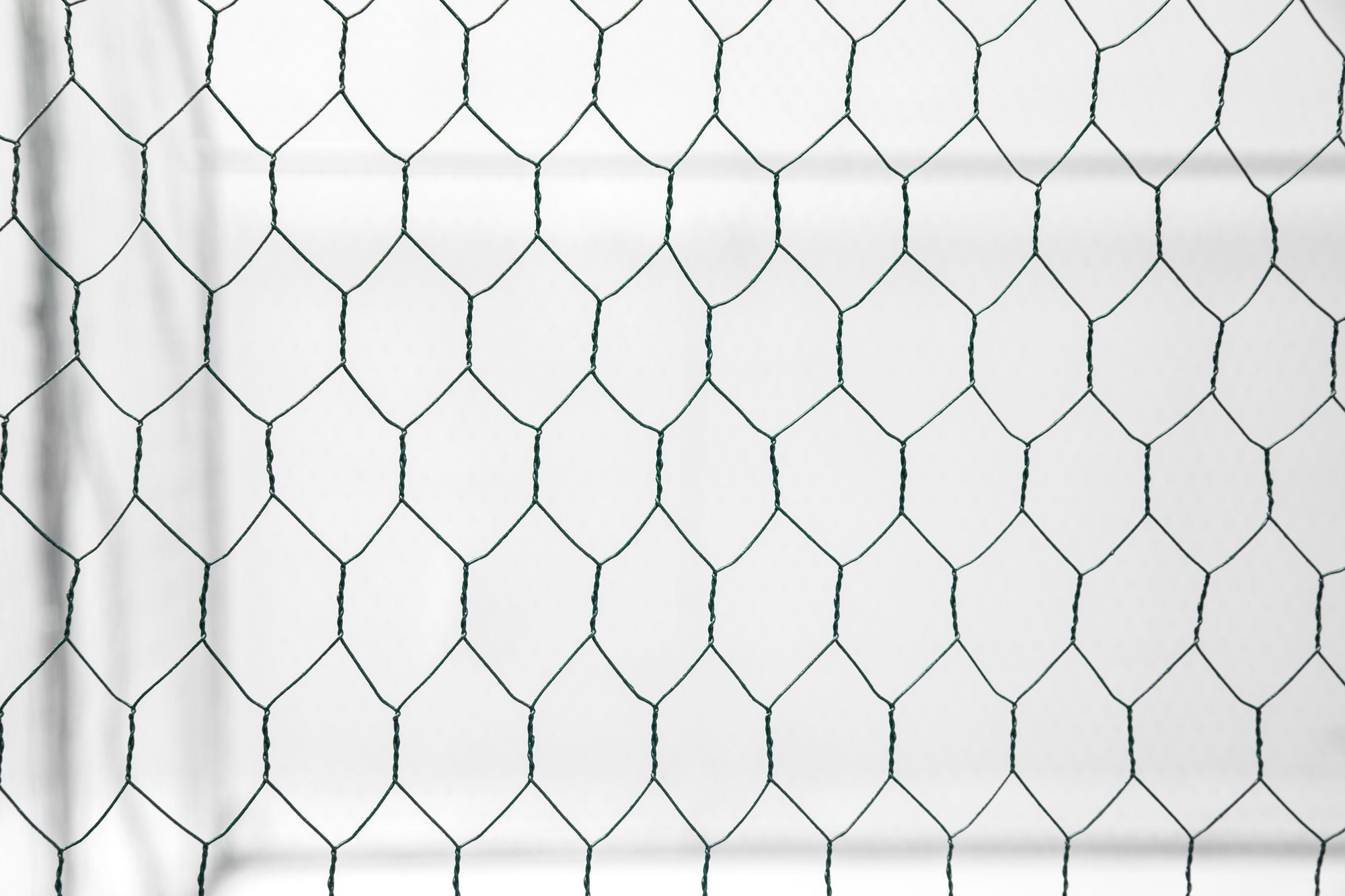 XPT035 Outdoor chicken coop metal big space 20*10*6FT 3 Unit for Outdoor Farm Use
